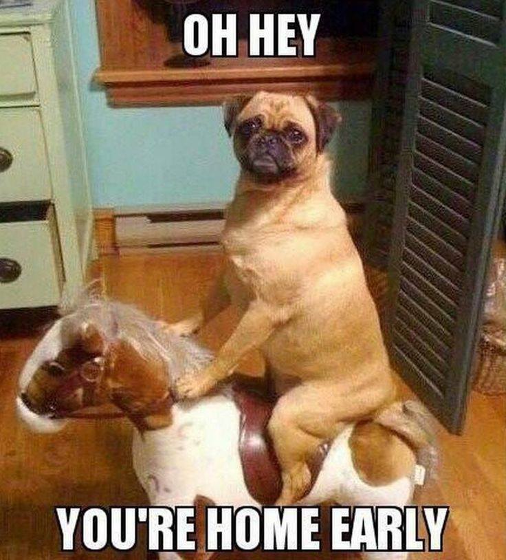 Oh Hey You are Home Early