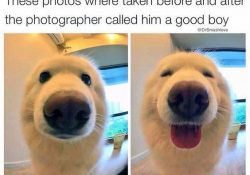 How A Good Boy Loves It To Be Called Good Boy