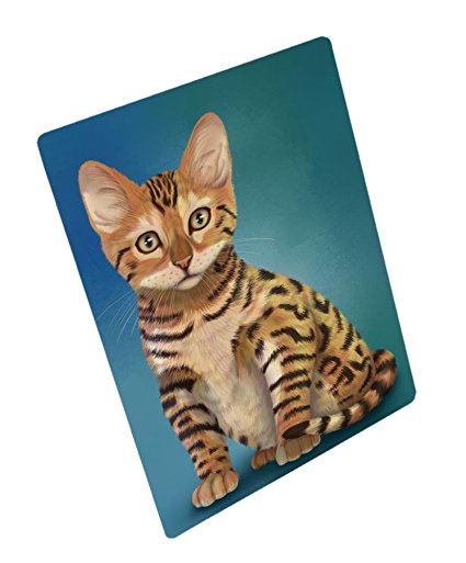Chinese Li Hua Kitten Cat Magnet