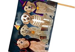 Happy Halloween Trick or Treat Golden Retrievers Dog in Costumes House Flag