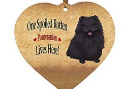 Pomeranian Black Spoiled Rotten Dog Heart Christmas Ornament