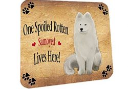 Samoyed Spoiled Rotten Dog Coasters Set of 4