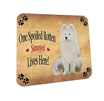 Samoyed Spoiled Rotten Dog Coasters Set of 4