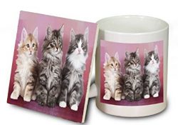 Norwegian Forest Cats Mug and Coaster Set