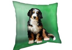 Bernedoodle Dog Throw Pillow (14x14)