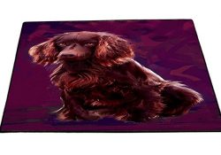 Boykin Spaniel Dog Indoor/Outdoor Floormat D171 (24x36)