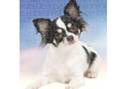 Chihuahua Dog Puzzle 551 Pc. with Photo Tin