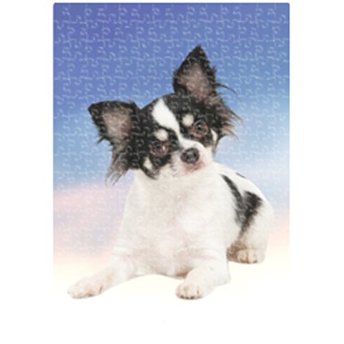  Chihuahua Dog Puzzle 551 Pc. with Photo Tin 
