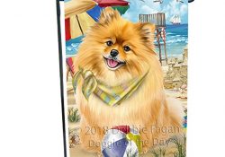 Doggie of the Day Pet Friendly Beach Pomeranian Dog Garden Flag GFLG49904