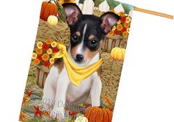 Fall Autumn Greeting Rat Terrier Dog with Pumpkins House Flag FLG50857