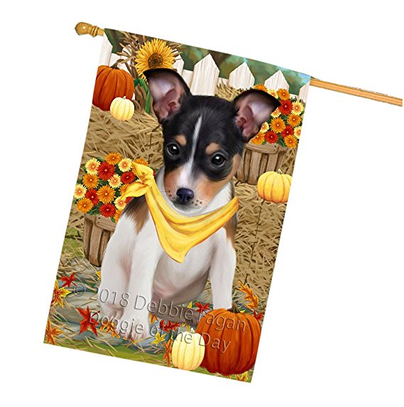 Fall Autumn Greeting Rat Terrier Dog with Pumpkins House Flag FLG50857