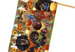 Fall Festive Gathering Dachshunds Dog with Pumpkins House Flag FLG50657