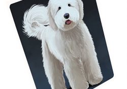 Goldendoodle Dog Art Portrait Print Woven Throw Sherpa Plush Fleece Blanket (50x60 Sherpa)