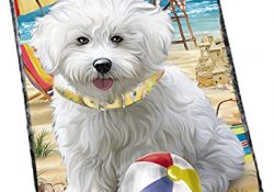 Pet Friendly Beach Bichon Frise Dog Photo Slate SLT48619