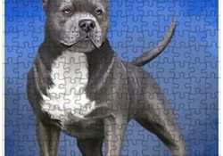 Pit Bull Dog Puzzle with Photo Tin (252 pc.)