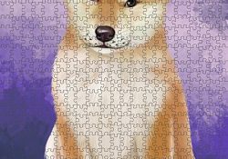 Shiba Inu Puzzle with Photo Tin PUZL48228 (551 pc.)