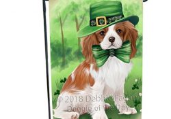 St. Patricks Day Irish Portrait Cavalier King Charles Spaniel Dog Garden Flag GFLG48675