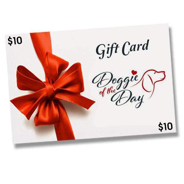 Doggie of the Day Gift Card DNSX